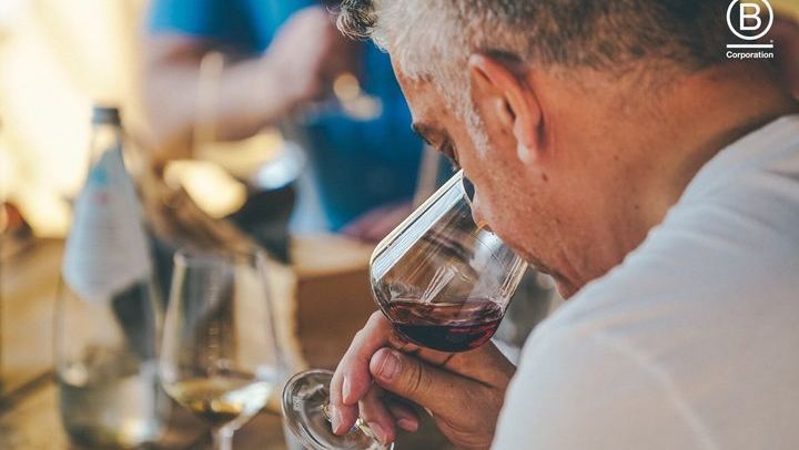 Amarone Half-Day Tasting from Verona: Two Family Wineries, Private Minivan for Eight (2/12)