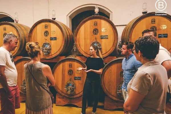 Amarone Half-Day Tasting from Verona: Two Family Wineries, Private Minivan for Eight