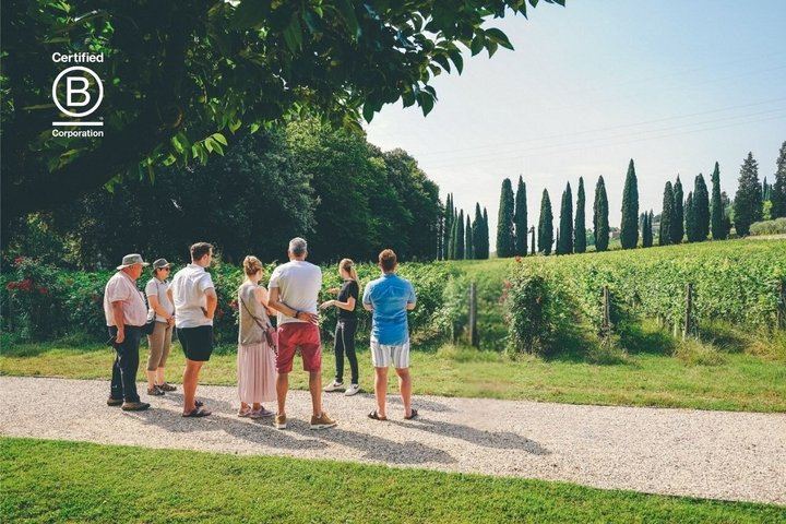 Amarone Half-Day Tasting from Verona: Two Family Wineries, Private Minivan for Eight (1/12)