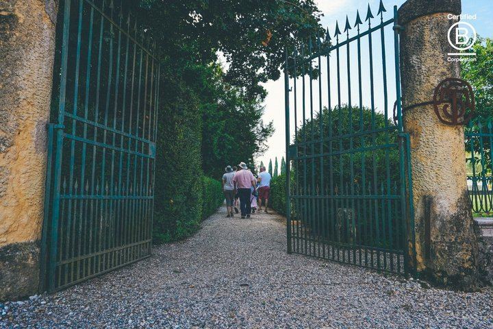 Amarone Half-Day Tasting from Verona: Two Family Wineries, Private Minivan for Eight (11/12)
