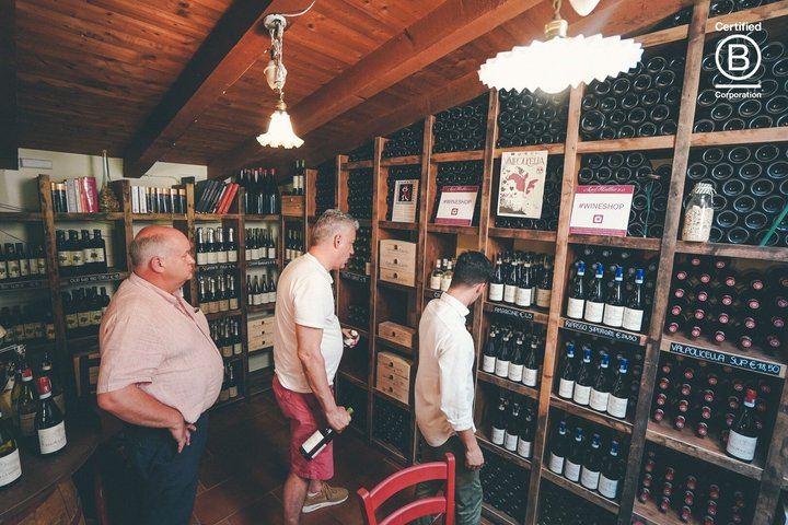 Amarone Half-Day Tasting from Verona: Two Family Wineries, Private Minivan for Eight (9/12)