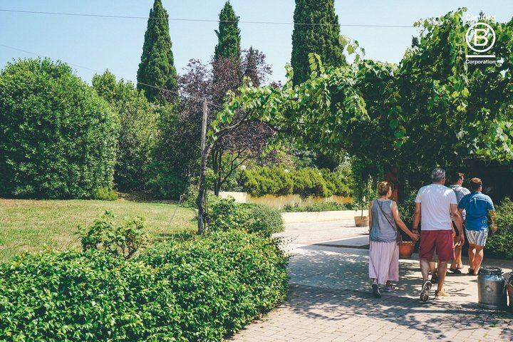 Amarone Half-Day Tasting from Verona: Two Family Wineries, Private Minivan for Eight (4/12)