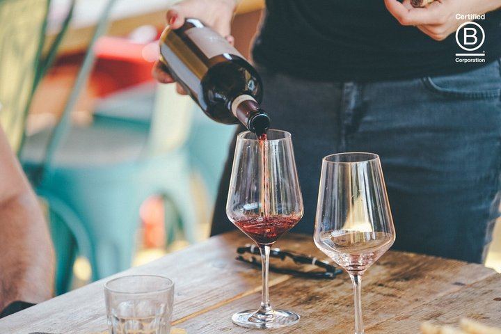 Amarone Half-Day Tasting from Verona: Two Family Wineries, Private Minivan for Eight (6/12)