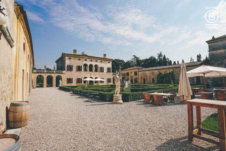 Amarone Half-Day Tasting from Verona: Two Family Wineries, Private Minivan for Eight (12/12)