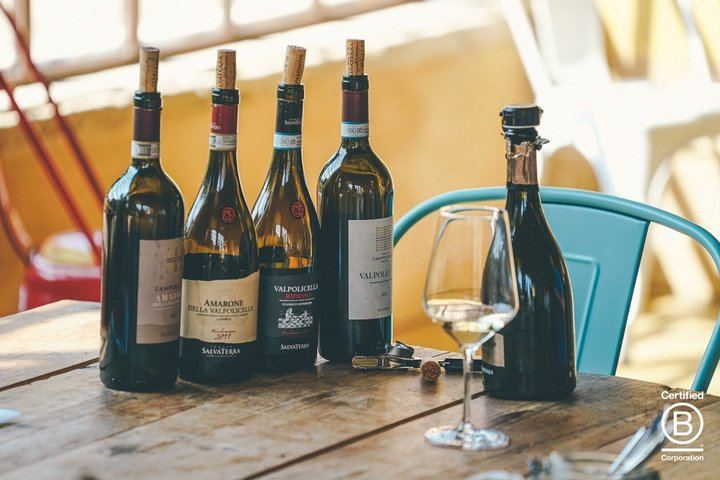 Amarone Half-Day Tasting from Verona: Two Family Wineries, Private Minivan for Eight (5/12)