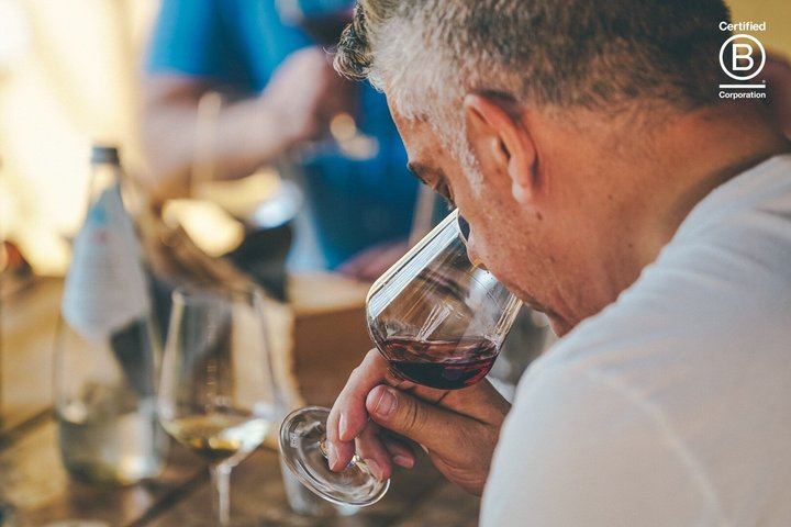 Amarone Half-Day Tasting from Verona: Two Family Wineries, Private Minivan for Eight (2/12)