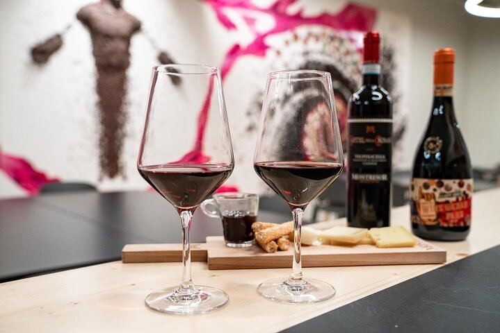 Montresor Winery Cellar Visit and Tasting near Verona: Valpolicella Reds or Garda Whites (2/10)