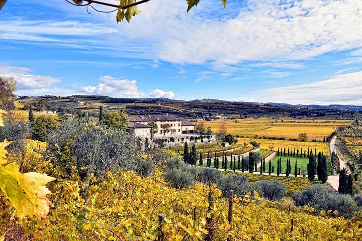 Valpolicella Amarone Day from Verona: Two Boutique Wineries, Limited-Edition Wines, Lunch (9/12)