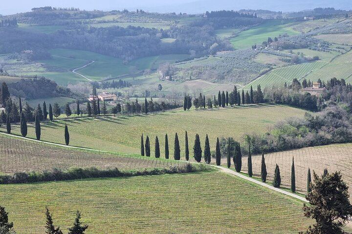 Quiet Private Chianti Classico Tasting at Two Family Wineries with a Local-Born Guide (11/12)