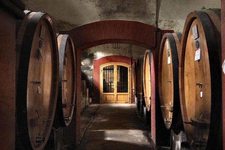 Private Chianti Tour: Two Boutique Wineries, Three-Course Lunch and Greve, 5 Hours (6/12)
