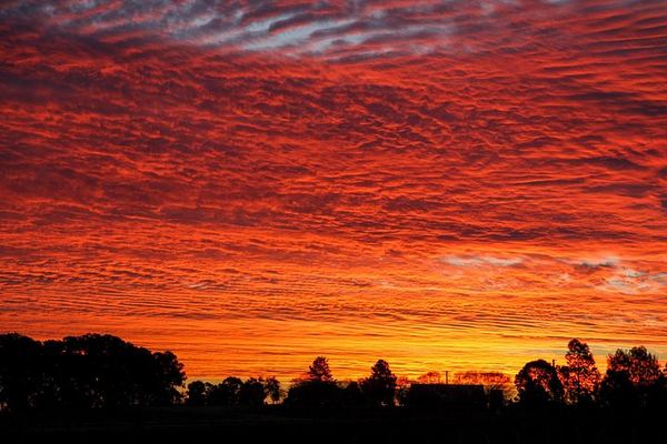 Private Full-Day Hunter Valley Wine Tour for Up to 4 Guests with Local Guide Clive