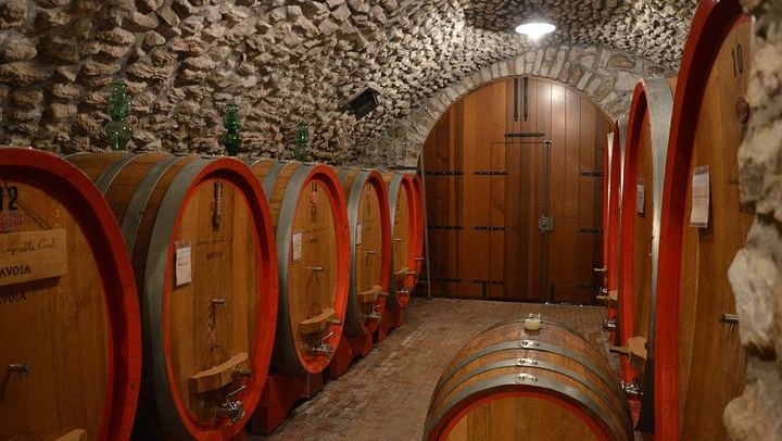 Pagus Half-Day Amarone Wine Tour from Verona with San Giorgio di Valpolicella Stop (3/7)