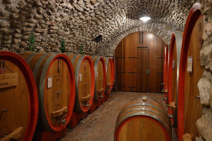 Pagus Half-Day Amarone Wine Tour from Verona with San Giorgio di Valpolicella Stop (3/7)