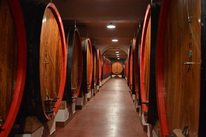 Pagus Wine Tours Half-Day Soave and Amarone Tour from Verona: Walled Town and Two Wineries (6/7)