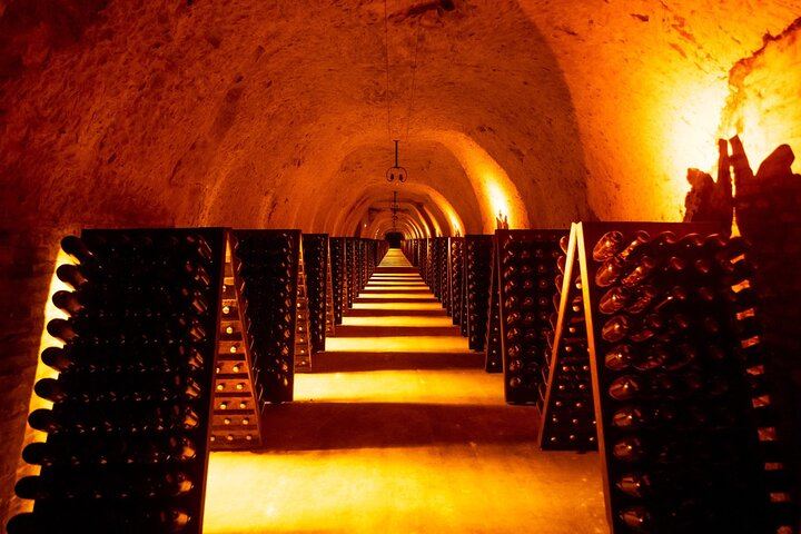 Champagne Day Trip from Paris: Mercier Cellar Train, Dom Caudron, Verzenay Vineyard Picnic (5/12)