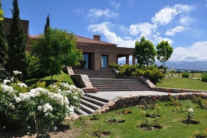 Uco Valley Luxury Wine Day: Salentein, Michelini i Mufatto and Andeluna Lunch (2/12)