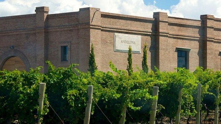 Uco Valley Luxury Wine Day: Salentein, Michelini i Mufatto and Andeluna Lunch (4/12)