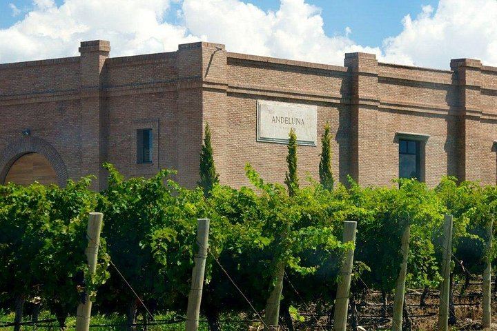 Uco Valley Luxury Wine Day: Salentein, Michelini i Mufatto and Andeluna Lunch (4/12)