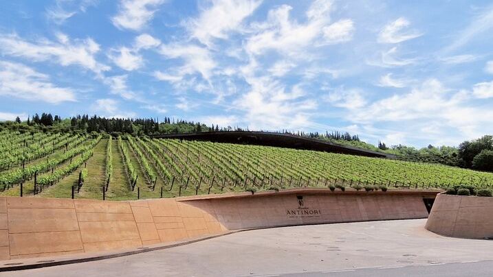Private Chianti Classico Tour by Mercedes E-Class: Poggio Amorelli Lunch, Gabbiano Castle (4/12)