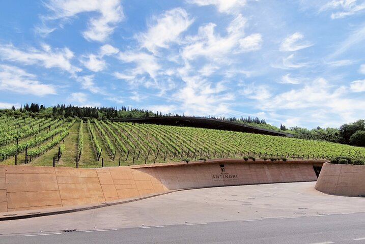Private Chianti Classico Tour by Mercedes E-Class: Poggio Amorelli Lunch, Gabbiano Castle (4/12)