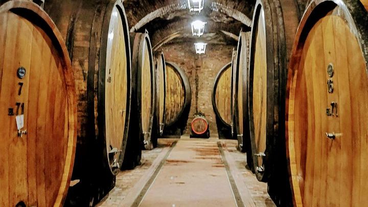 Brunello and Vino Nobile Tour: Montalcino, Montepulciano and Pienza Pecorino (3/12)