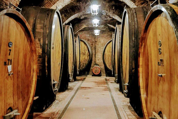 Brunello and Vino Nobile Tour: Montalcino, Montepulciano and Pienza Pecorino (3/12)