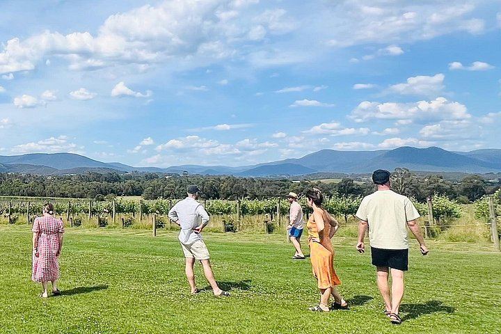 Yarra Valley Day Tour with Farm Stop, Yering Station, Chocolate and Gin Option (8/12)