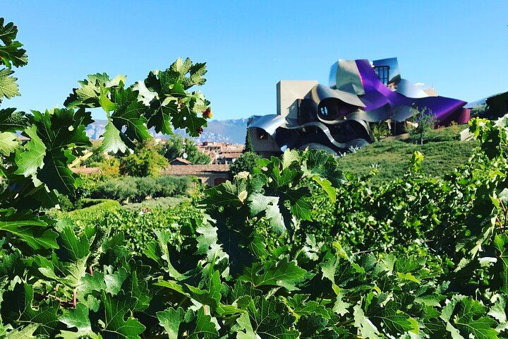 Rioja Architecture Wine Day from Bilbao: Riscal, Ysios and Laguardia Tapas (8/12)