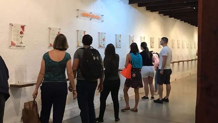 Undurraga Winery Tour by Chilenjoy: Gente de La Tierra Museum and Tasting (3/7)