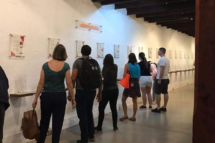 Undurraga Winery Tour by Chilenjoy: Gente de La Tierra Museum and Tasting (3/7)