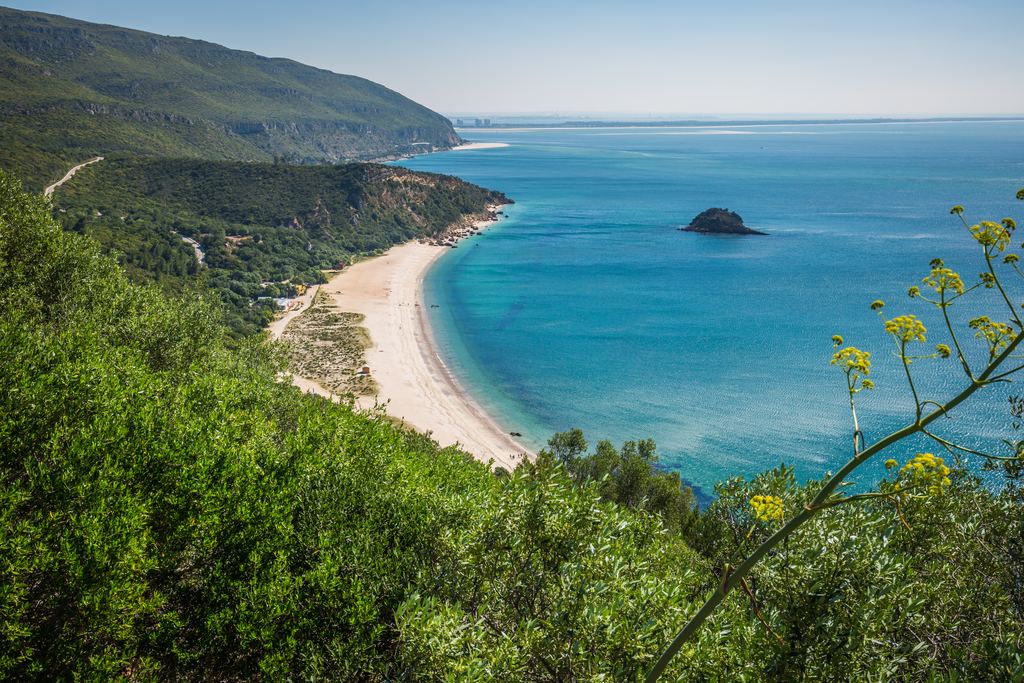 Sandy Arrábida beach and a rock islet below forested hills, Portugal