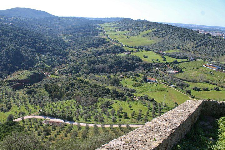 Private Setúbal Wine Day from Lisbon: Three Family Cellars or Two Plus a Village Lunch (8/12)