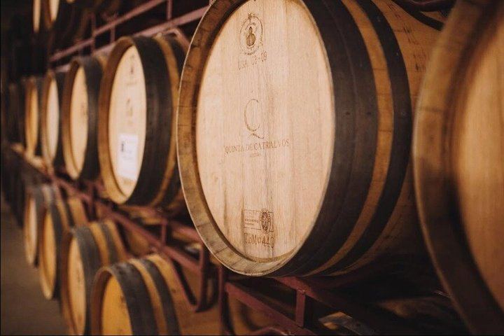 Arrábida Day from Lisbon for Max 8: Two Family Wineries, Tile Workshop, Sesimbra (7/12)
