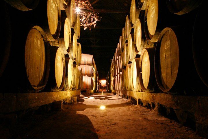 Arrábida Day from Lisbon for Max 8: Two Family Wineries, Tile Workshop, Sesimbra (5/12)