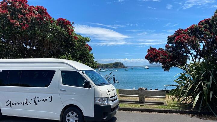 Waiheke Half-Day Scenic Wine Tour: Two Vineyards, Platter Lunch, 12pm Ferry (1/11)