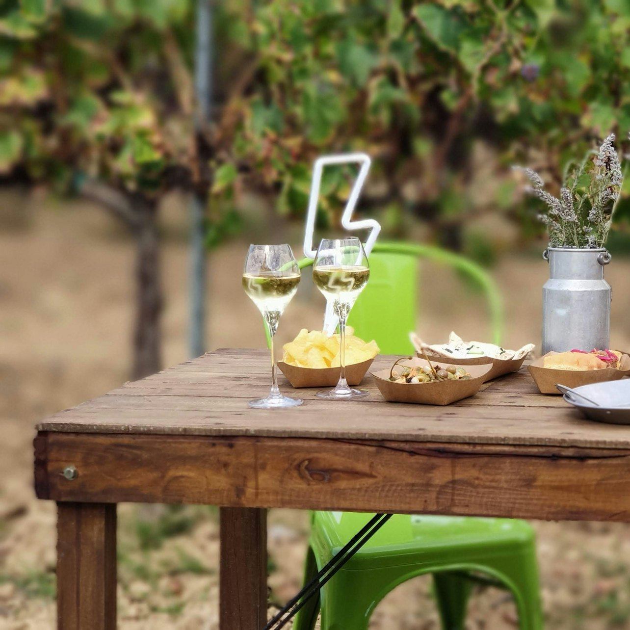 ArtCava Winery and Vineyard Tour at Masía Can Batlle in Penedès with Cava Tasting (1/3)