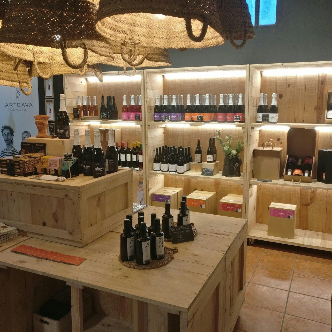 ArtCava Winery and Vineyard Tour at Masía Can Batlle in Penedès with Cava Tasting (3/3)