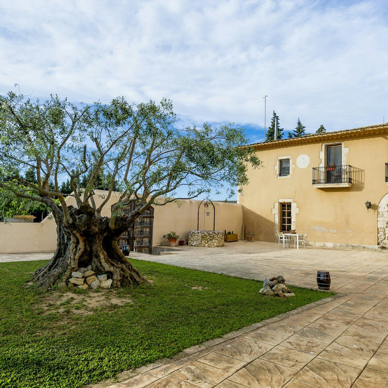 ArtCava Winery and Vineyard Tour at Masía Can Batlle in Penedès with Cava Tasting (2/3)