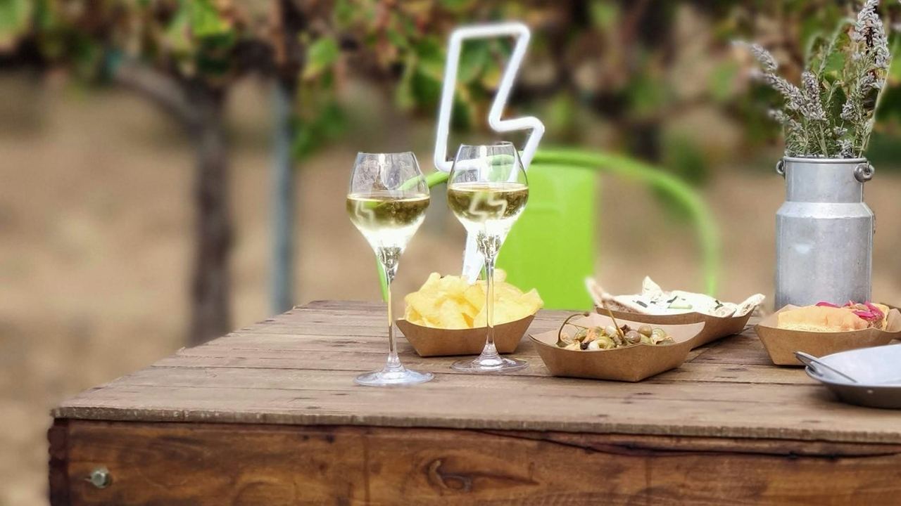 ArtCava Winery and Vineyard Tour at Masía Can Batlle in Penedès with Cava Tasting (1/3)