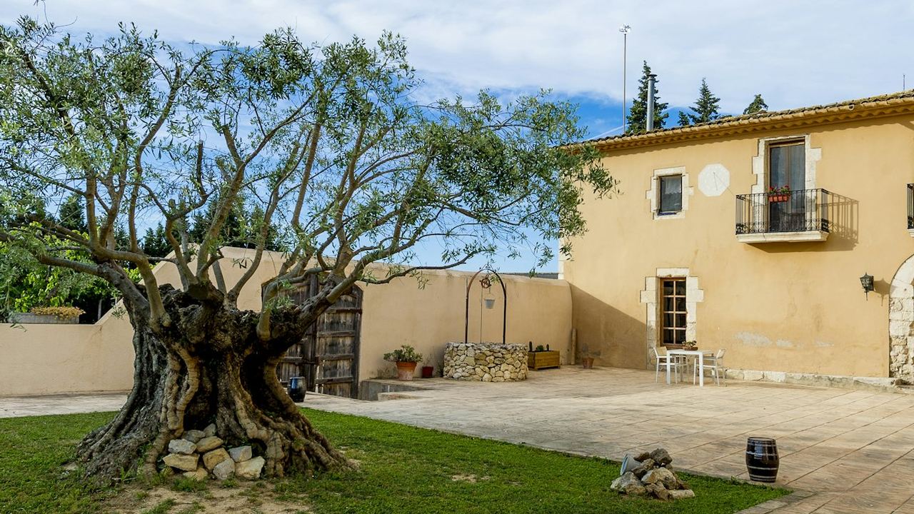 ArtCava Winery and Vineyard Tour at Masía Can Batlle in Penedès with Cava Tasting (2/3)