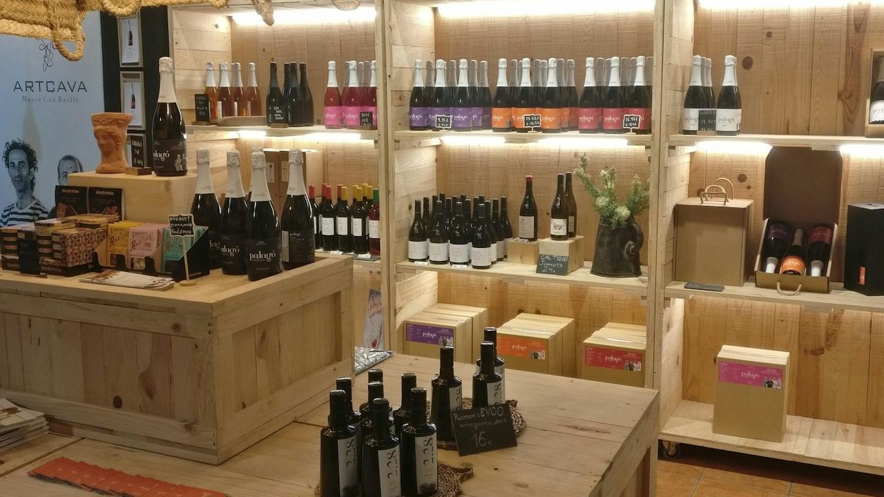 ArtCava Winery and Vineyard Tour at Masía Can Batlle in Penedès with Cava Tasting (3/3)