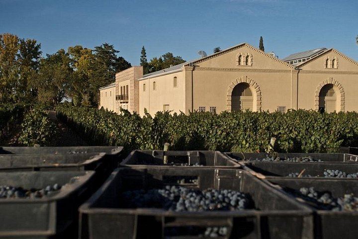 Private Mendoza Asado Lunch and Two Winery Visits with Chauffeur Transfer (7/8)