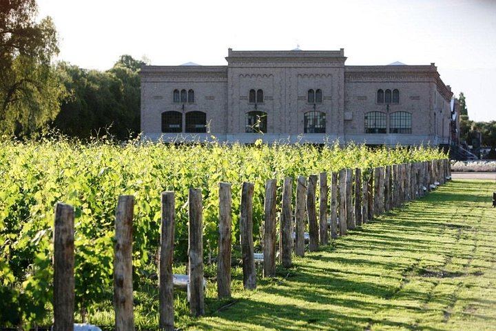 Private Mendoza Asado Lunch and Two Winery Visits with Chauffeur Transfer (6/8)