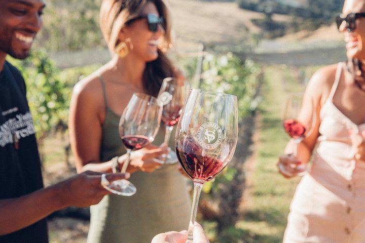 Auckland Ferry Day to Waiheke: Cable Bay, Batch, Stonyridge and Mudbrick Vineyards (6/12)