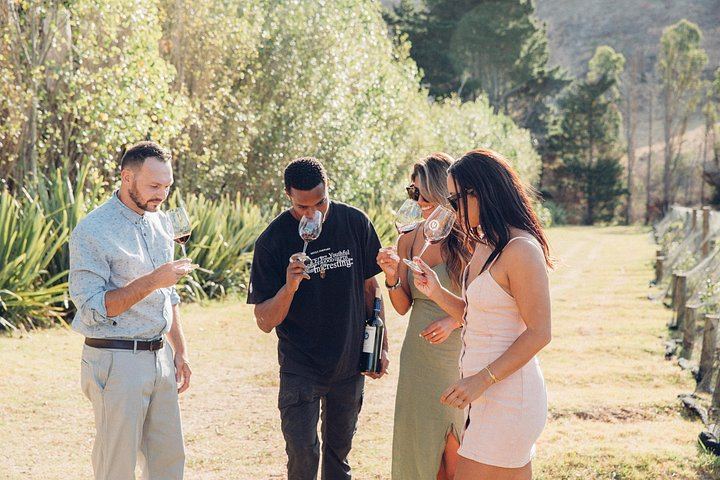 Auckland Ferry Day to Waiheke: Cable Bay, Batch, Stonyridge and Mudbrick Vineyards (8/12)