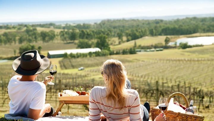 Audrey Wilkinson Vineyard, Pokolbin: Wine Masterclass, Museum and Picnic (1/10)