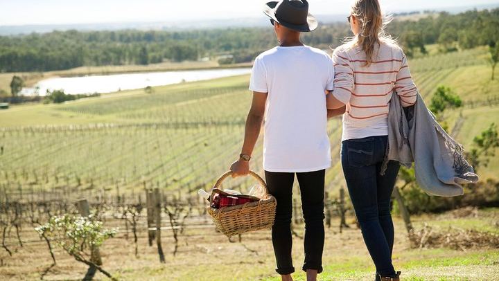 Audrey Wilkinson Vineyard, Pokolbin: Wine Masterclass, Museum and Picnic (2/10)