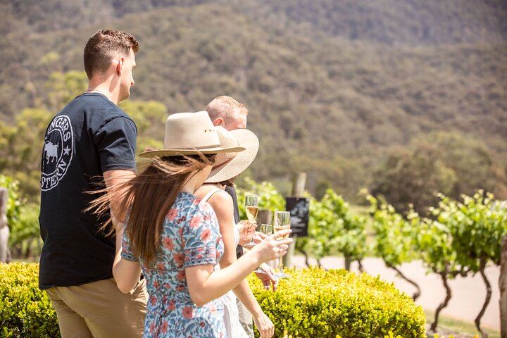 Audrey Wilkinson Vineyard, Pokolbin: Wine Masterclass, Museum and Picnic (9/10)
