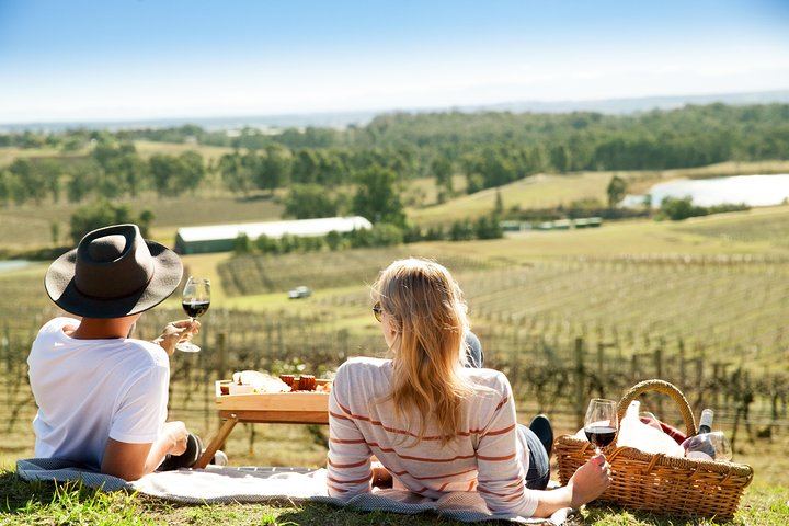 Audrey Wilkinson Vineyard, Pokolbin: Wine Masterclass, Museum and Picnic (1/10)