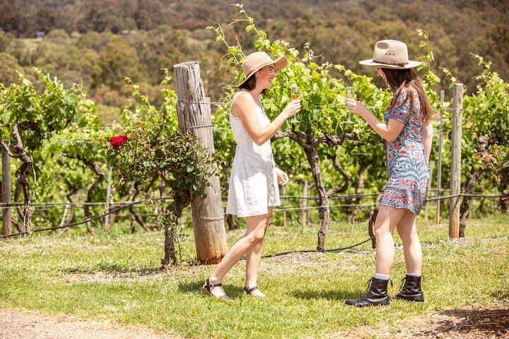 Audrey Wilkinson Vineyard, Pokolbin: Wine Masterclass, Museum and Picnic (10/10)